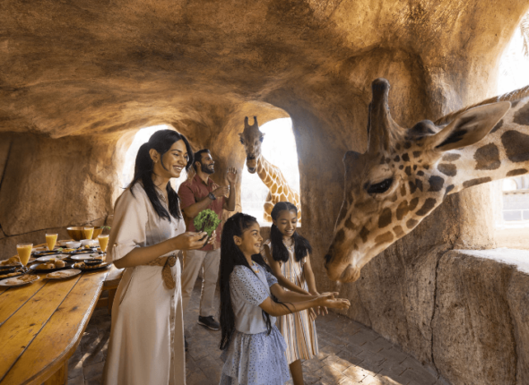 Emirates park zoo